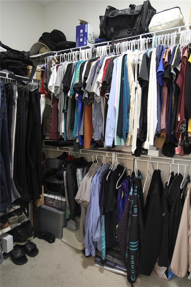 spacious closet featuring carpet flooring