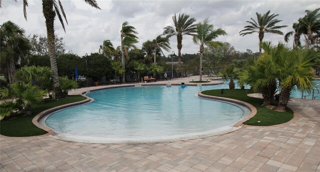 view of swimming pool featuring a patio area