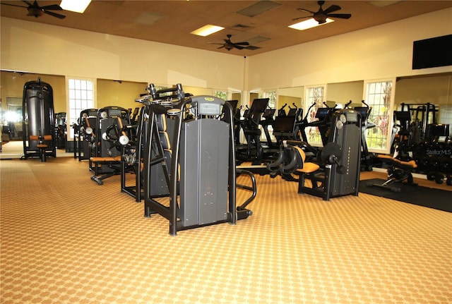 workout area with ceiling fan and carpet