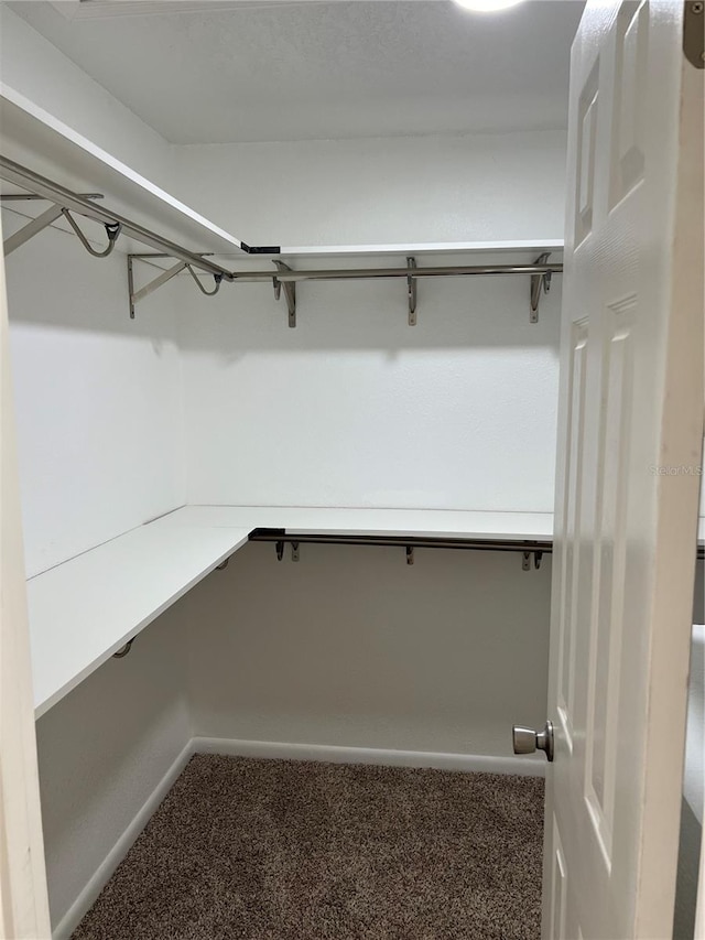 spacious closet with carpet