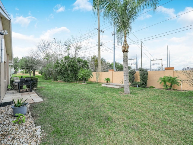 view of yard featuring a patio