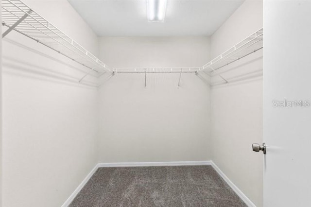 walk in closet featuring dark carpet