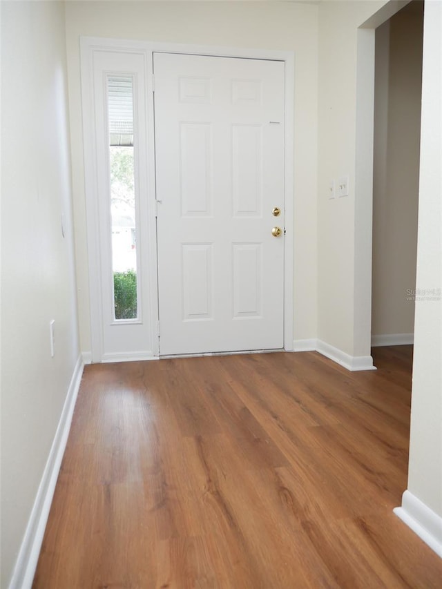 foyer entrance with hardwood / wood-style flooring