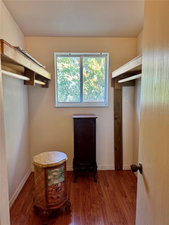 spacious closet with wood finished floors