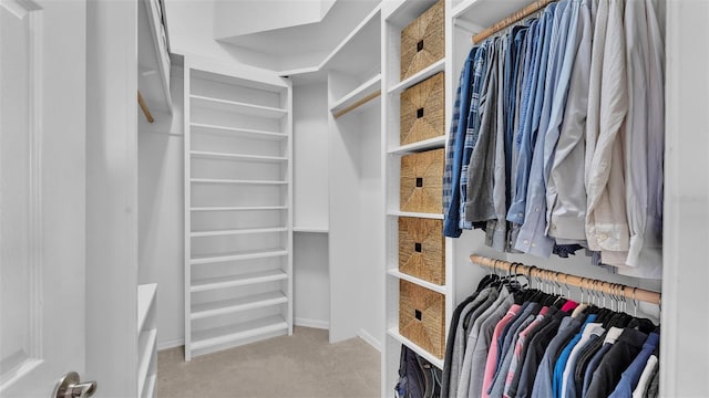 walk in closet featuring carpet flooring