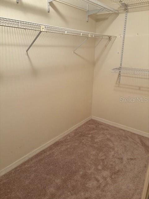 walk in closet with carpet