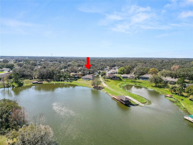 7410 Locksley Ln, Lakeland, FL 33809 - drone / aerial view featuring a water view
