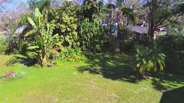 1413 May St, Lutz, FL 33548 - photo 16