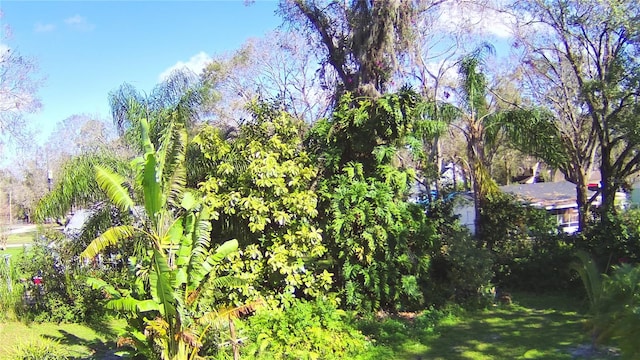 1413 May St, Lutz, FL 33548 - photo 17