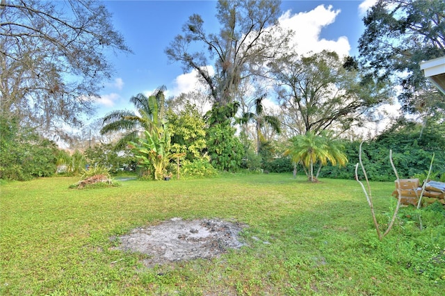 1413 May St, Lutz, FL 33548 - photo 20