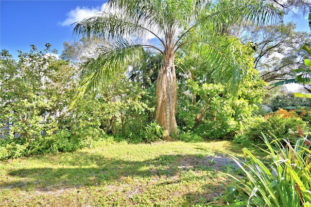1413 May St, Lutz, FL 33548 - photo 24