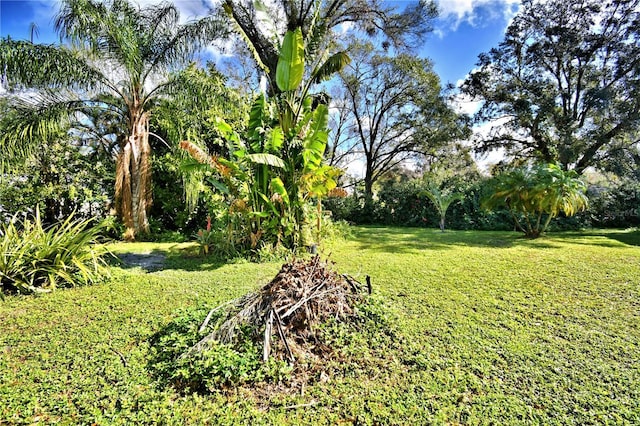 1413 May St, Lutz, FL 33548 - photo 27