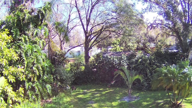 1413 May St, Lutz, FL 33548 - photo 28