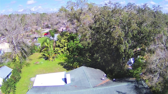 1413 May St, Lutz, FL 33548 - photo 30