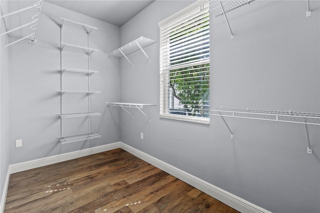 spacious closet with dark wood finished floors