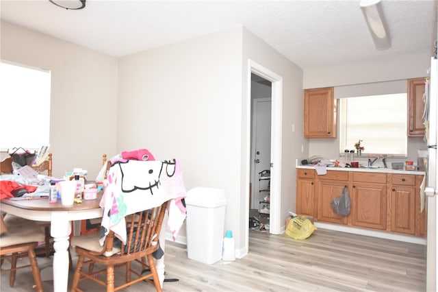 interior space featuring baseboards, a textured ceiling, and light wood finished floors