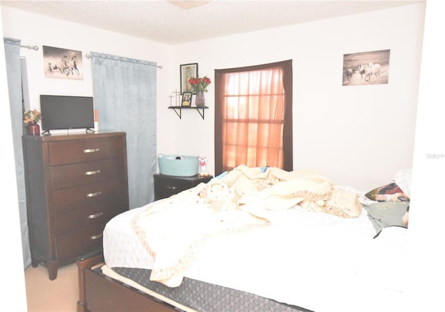 bedroom featuring a textured ceiling