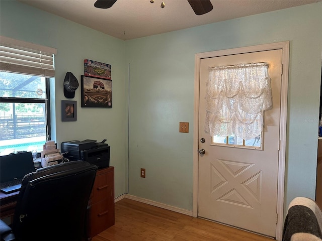 office featuring ceiling fan and light hardwood / wood-style floors