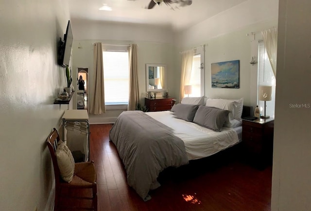 1919 W N A St, Tampa, FL 33606 - bedroom with dark wood-type flooring and multiple windows