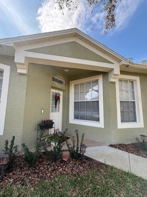 8623 Snowy Owl Way, Tampa, FL 33647 - property entrance featuring stucco siding
