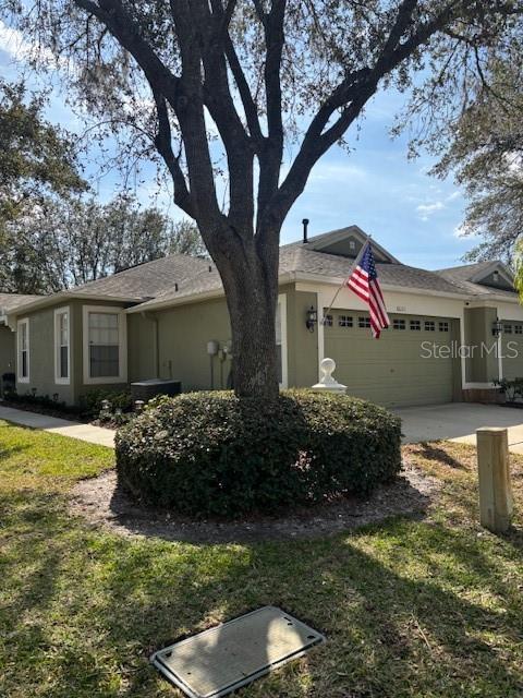 8623 Snowy Owl Way, Tampa, FL 33647 - view of side of home featuring an attached garage, a yard, driveway, and stucco siding
