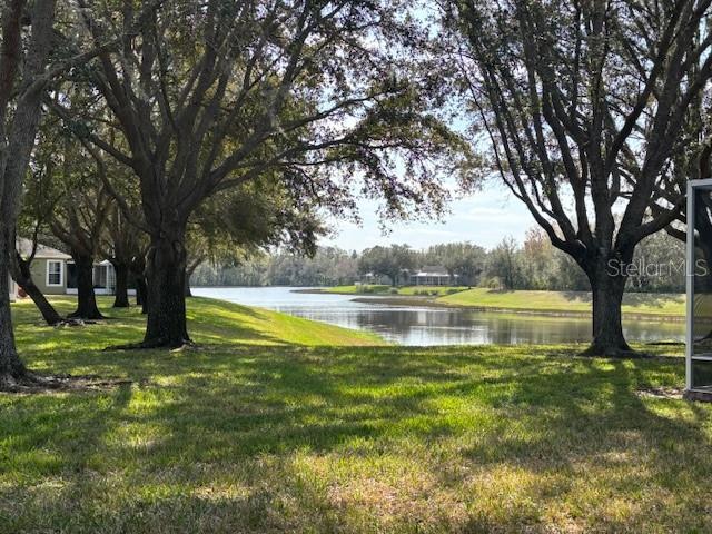 8623 Snowy Owl Way, Tampa, FL 33647 - view of yard with a water view