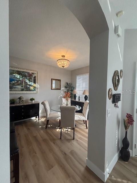 8623 Snowy Owl Way, Tampa, FL 33647 - dining space with a chandelier, arched walkways, baseboards, and wood finished floors