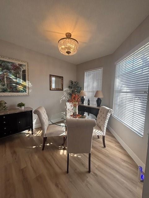 8623 Snowy Owl Way, Tampa, FL 33647 - dining room with light wood finished floors, baseboards, and a notable chandelier