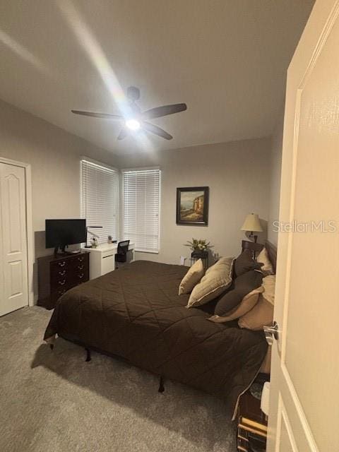8623 Snowy Owl Way, Tampa, FL 33647 - bedroom with carpet and ceiling fan
