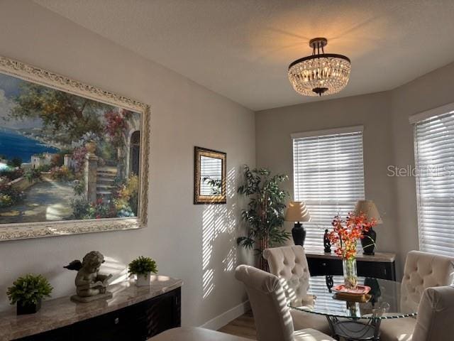 8623 Snowy Owl Way, Tampa, FL 33647 - dining area featuring baseboards, an inviting chandelier, and a healthy amount of sunlight