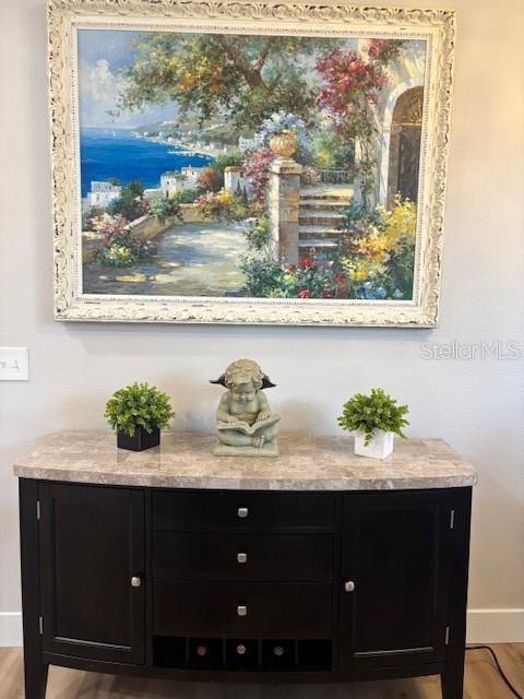 8623 Snowy Owl Way, Tampa, FL 33647 - details with baseboards and wood finished floors
