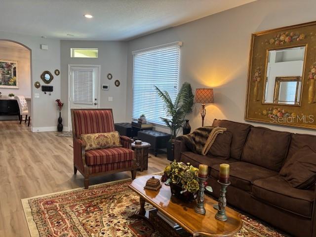 8623 Snowy Owl Way, Tampa, FL 33647 - living room with arched walkways, light wood finished floors, and baseboards