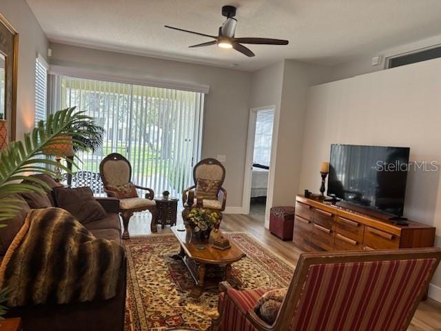 8623 Snowy Owl Way, Tampa, FL 33647 - living area with light wood-style flooring, baseboards, and ceiling fan