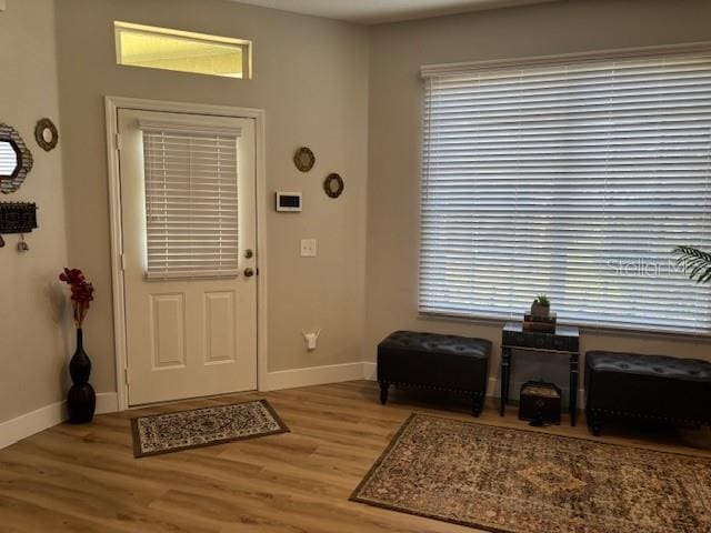 8623 Snowy Owl Way, Tampa, FL 33647 - foyer entrance featuring baseboards and wood finished floors
