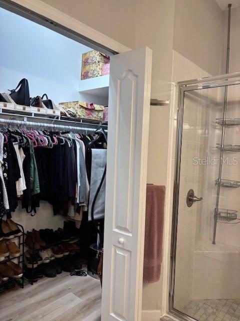 8623 Snowy Owl Way, Tampa, FL 33647 - walk in closet with wood finished floors
