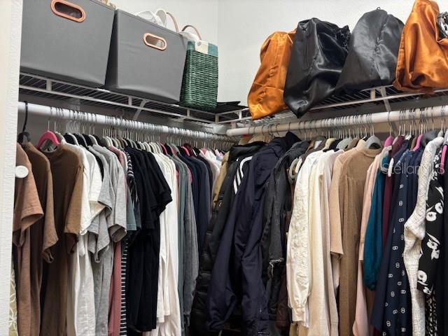8623 Snowy Owl Way, Tampa, FL 33647 - view of walk in closet