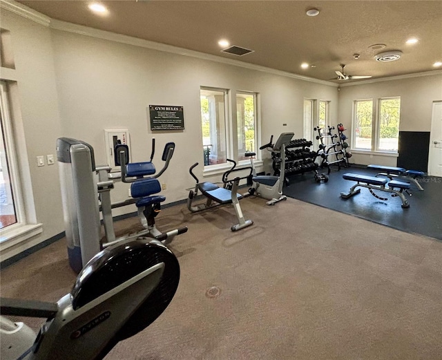 8623 Snowy Owl Way, Tampa, FL 33647 - workout area with recessed lighting, visible vents, baseboards, and crown molding