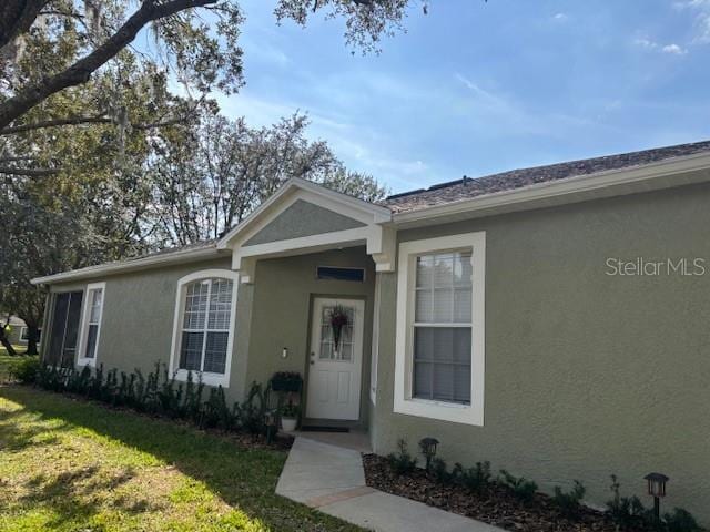 8623 Snowy Owl Way, Tampa, FL 33647 - exterior space with a front lawn and stucco siding