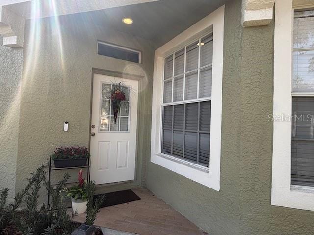 8623 Snowy Owl Way, Tampa, FL 33647 - view of exterior entry with stucco siding