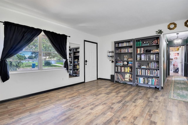 interior space featuring wood-type flooring