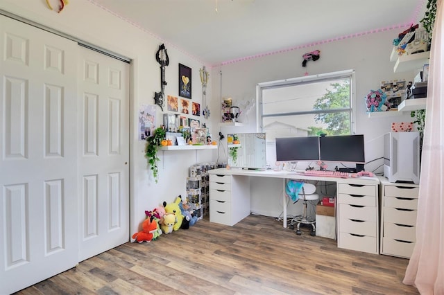 office featuring hardwood / wood-style floors