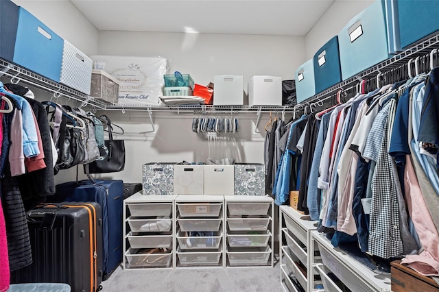 spacious closet featuring carpet flooring