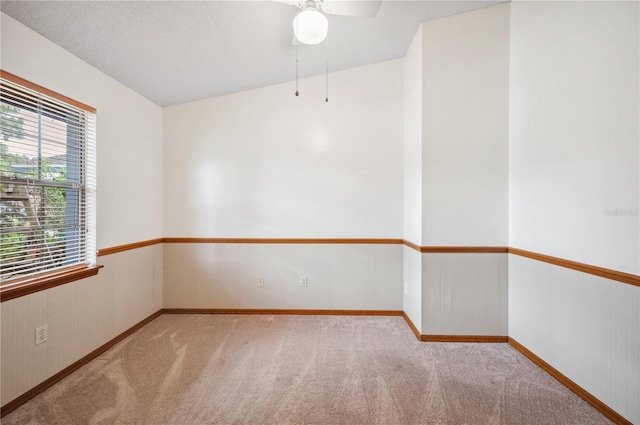 carpeted empty room featuring wood walls and a textured ceiling