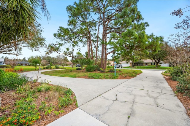 view of property's community featuring a yard