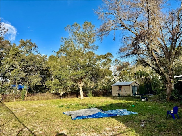 view of yard featuring a storage unit