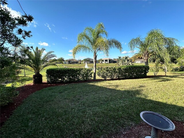 394 Nolane Ln, Polk City, FL 33868 - view of yard