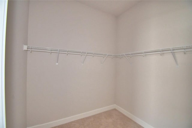 walk in closet with carpet