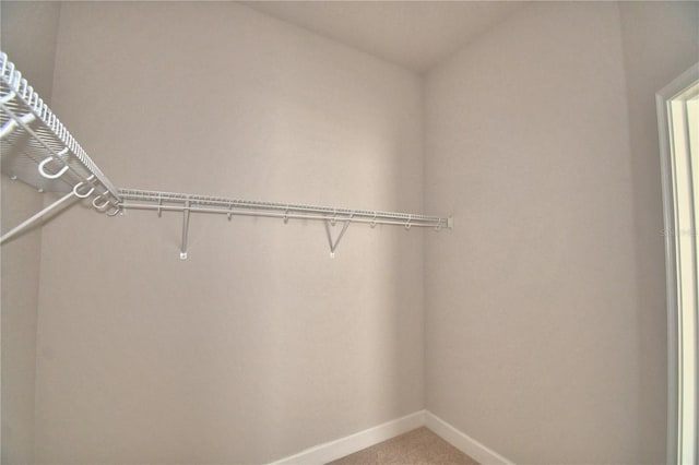 walk in closet with carpet flooring