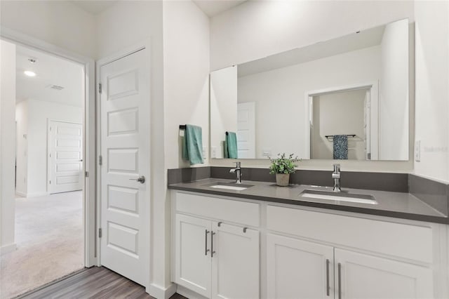 bathroom featuring double vanity, wood finished floors, a closet, and a sink