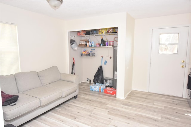 living room featuring light wood-style flooring